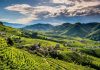 colline del prosecco