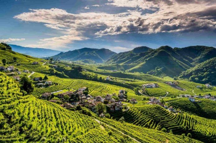 colline del prosecco